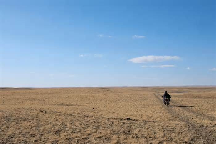 Dân du mục Mông Cổ chật vật tìm cỏ