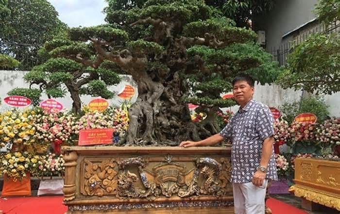 Tận mục vườn cây cảnh 500 tỷ độc nhất vô nhị Việt Nam
