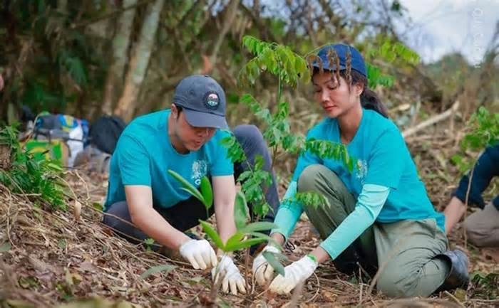 Bị chê 'bèo' vì chỉ góp 86 triệu đồng cho dự án trồng rừng, H'Hen Niê lên tiếng