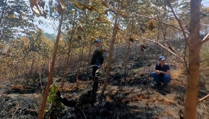 Kon Tum: 2 người tử vong trong vụ cháy rừng bạch đàn