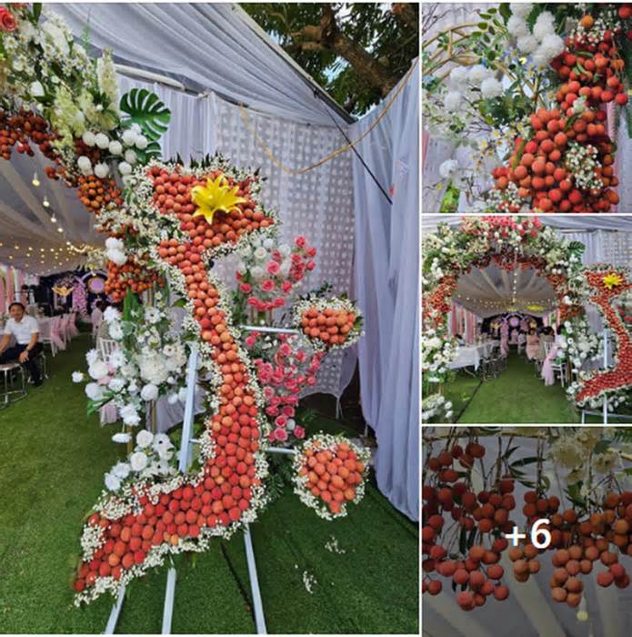 Độc đáo cổng cưới được trang trí bằng vải thiều ở Bắc Giang