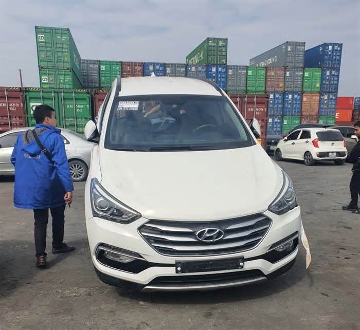 Tịch thu 9 ôtô đã qua sử dụng quá cảnh trái phép tại cảng Hải Phòng