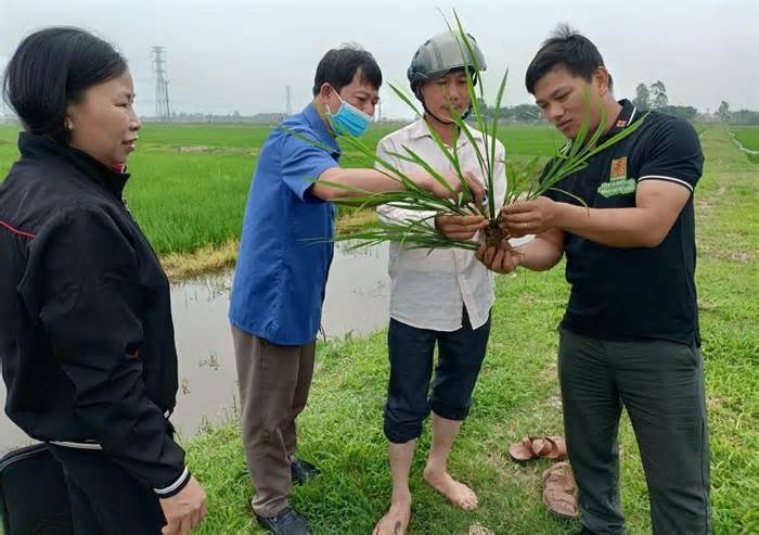 Cuộc thi Sáng kiến Khoa học 2024 nhận hồ sơ đến ngày 31/3