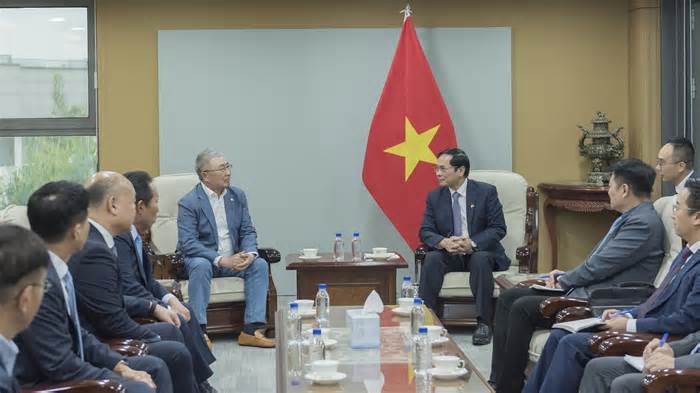 Bộ trưởng Bùi Thanh Sơn tiếp Hội hữu nghị Hàn Quốc-Việt Nam