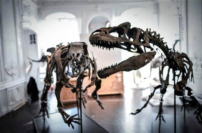 Giải mã 'thế lực' tuyệt diệt loài khủng long vào 'mùa Đông chết chóc'