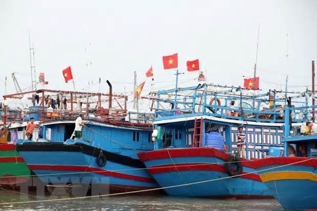 Nghệ An tổ chức kêu gọi tàu thuyền thoát khỏi vùng nguy hiểm