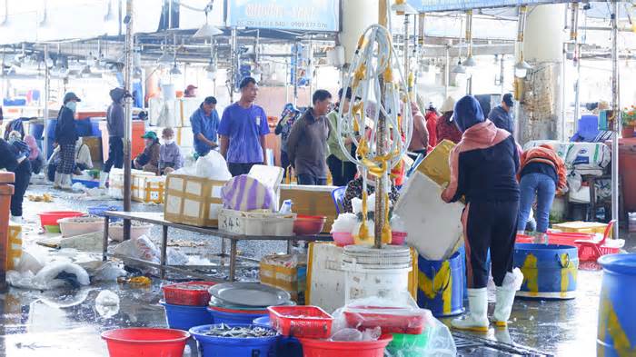 La liệt hải sản, nhộn nhịp mua bán ở cảng cá lớn nhất miền Trung