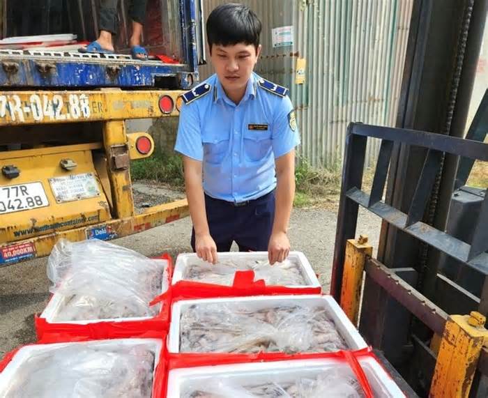 Bắt giữ xe đầu kéo Bình Định vận chuyển gần 5 tấn cá khoai có chứa formol
