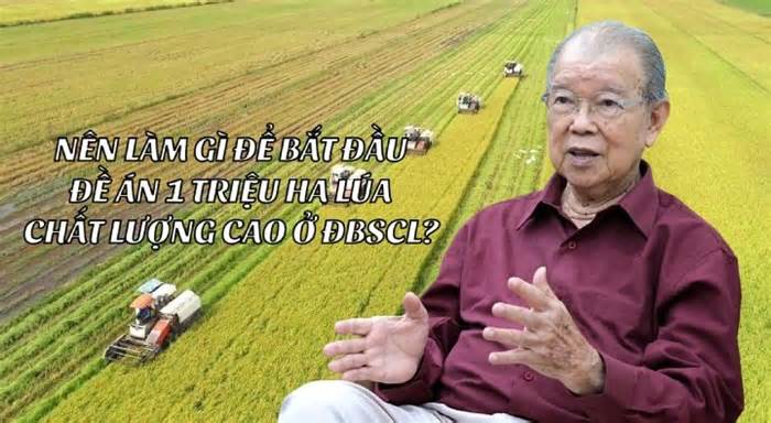 Giáo sư Võ Tòng Xuân nói về lợi ích và cách làm 1 triệu ha lúa chất lượng cao