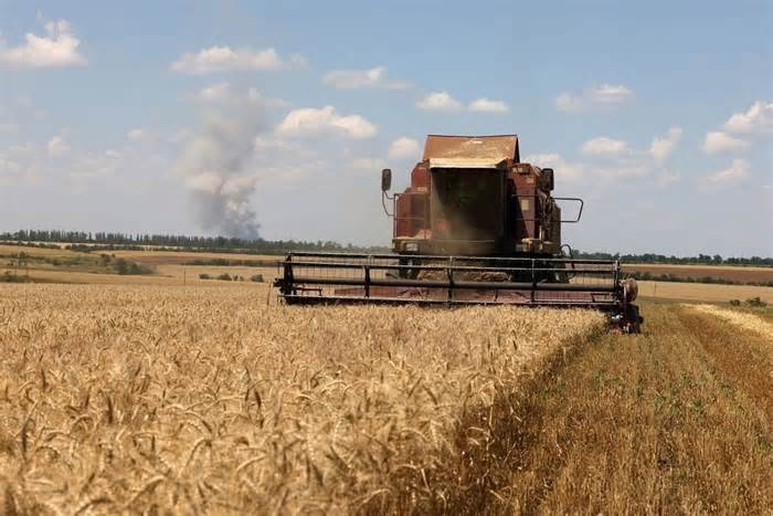 EU đề xuất biện pháp hạn chế nông sản giá rẻ từ Ukraine