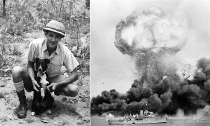 Chú chó cứu quân đội Australia khỏi các vụ ném bom