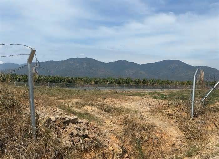 Ngăn chặn tình trạng cắt phá hàng rào bảo vệ cao tốc Vĩnh Hảo - Phan Thiết