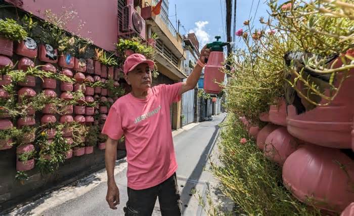 Căn nhà nhuộm hồng bằng những chậu cây tái chế