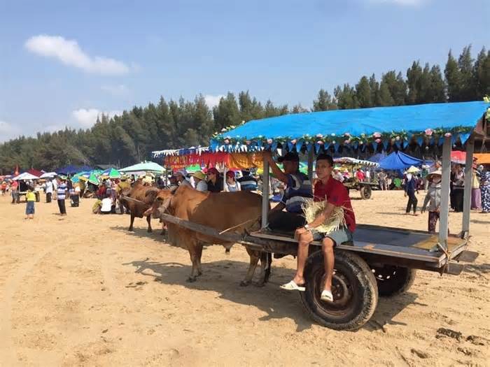 Giải quyết sinh kế cho các hộ vận chuyển du khách dạo bờ biển bằng xe bò