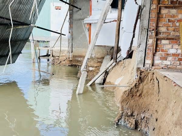 Hậu Giang: Lại xảy ra sạt lở bờ sông huyện Châu Thành và Phụng Hiệp