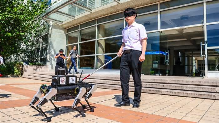 Trung Quốc phát triển chó robot dẫn đường cho người mù