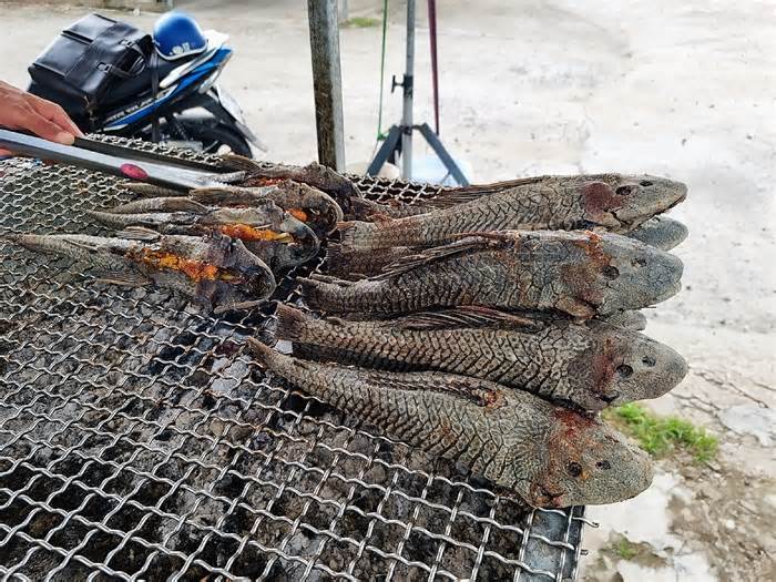 Xôn xao vụ bé gái 13 tuổi tử vong sau khi ăn cá lau kiếng ở Kiên Giang