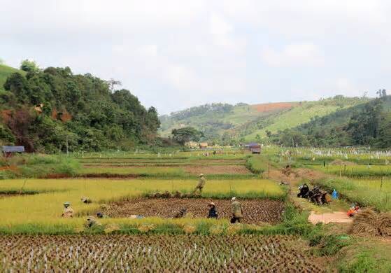 Huyện vùng biên ở Đắk Nông gặp khó khi xây dựng nông thôn mới