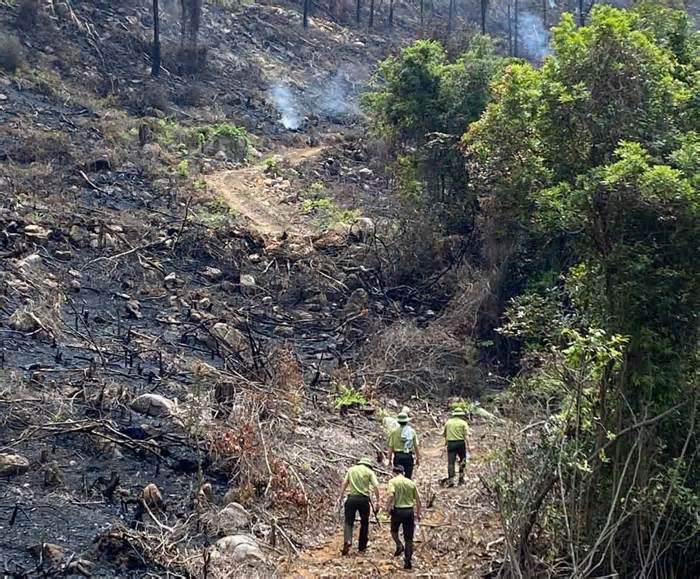 Kiểm lâm Quảng Ninh với công tác phòng chống cháy rừng mùa hanh khô