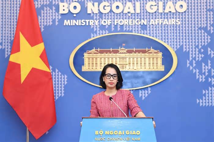 Việt Nam hoan nghênh nghị quyết về ngừng bắn ở Dải Gaza