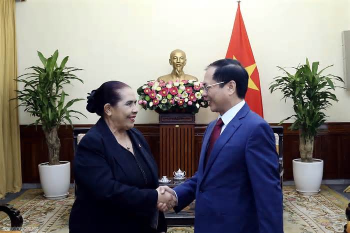 Bộ trưởng Ngoại giao Bùi Thanh Sơn tiếp Đại sứ Timor-Leste tại Việt Nam chào từ biệt