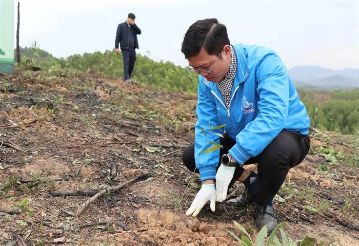 Tỉnh Đoàn Bắc Giang trao tặng công trình rừng cây thanh niên