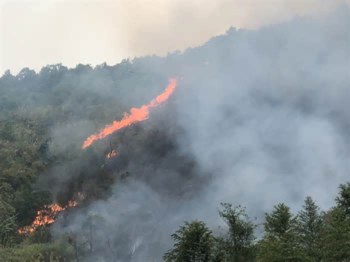 Một người tử vong khi chữa cháy rừng tại Điện Biên