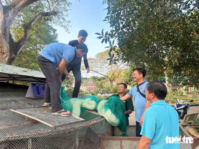 Cận cảnh trăn bạch tạng 'khủng' dài 5 mét, nặng 90kg tại Trại rắn Đồng Tâm