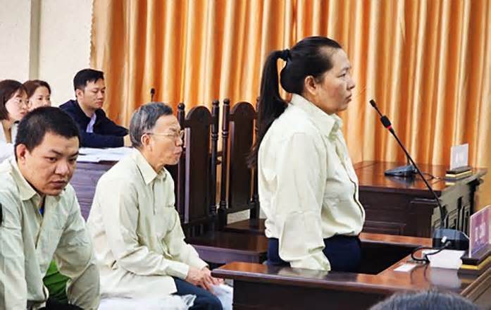 Vợ của cựu Giám đốc Sở Tư pháp Lâm Đồng lãnh án chung thân tội lừa đảo