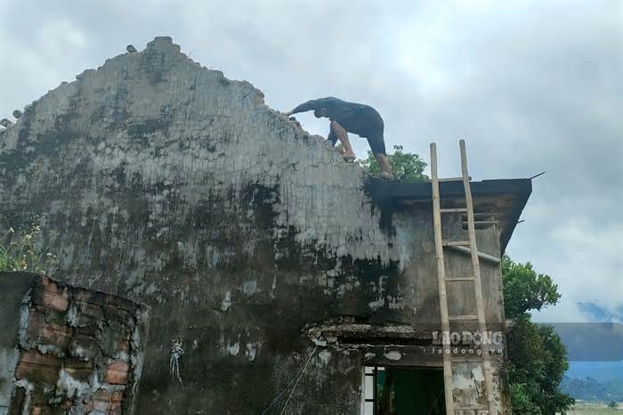 Phú Thọ: Mưa lớn làm 243 nhà bị tốc mái, 1.300ha lúa ngô bị thiệt hại
