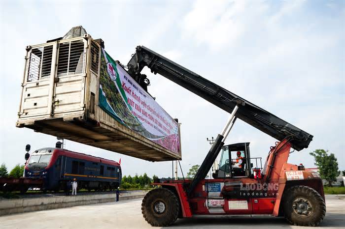 Cận cảnh 3 container chứa 56 tấn vải thiều xuất khẩu lần đầu bằng đường sắt