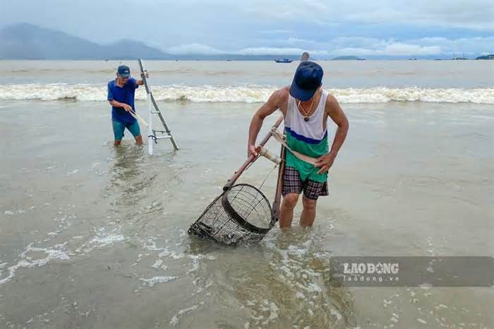 Người dân Đà Nẵng đổ ra biển săn 'lộc trời' sau mưa lớn