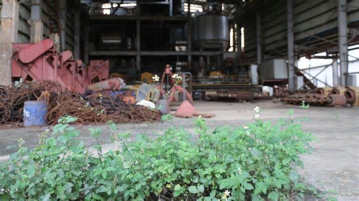Hòa Bình chấm dứt dự án nhà máy đường làm ăn thua lỗ, nợ tiền người dân