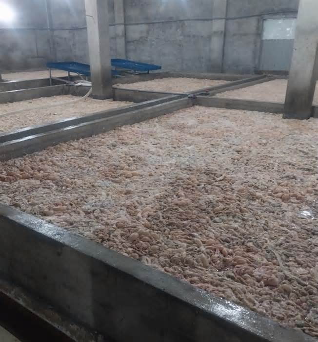 Hàng loạt vụ thực phẩm bẩn được phát hiện ở Bắc Ninh, Bắc Giang