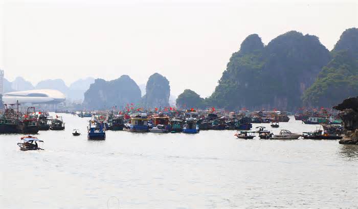 Quảng Ninh cấm biển từ 15h chiều nay, ngư dân hối hả tìm chỗ trú