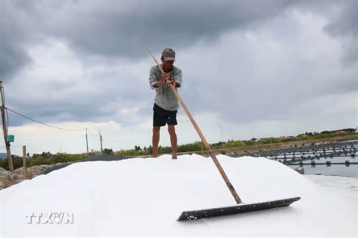 Khánh Hòa: Diêm dân lo lắng khi tái diễn cảnh “được mùa mất giá” muối