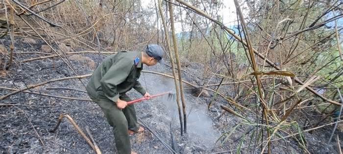 200 người nỗ lực dập cháy rừng ở Đà Nẵng