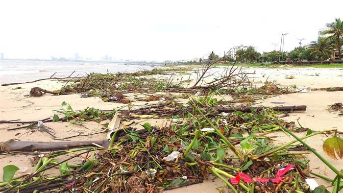 Chục tấn rác thải phủ kín vịnh Đà Nẵng sau mưa lũ