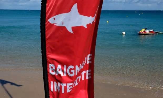 Cá mập tấn công giữa bãi biển đông người, 1 du khách Australia tử vong