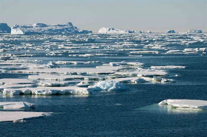 Nam Cực - ‘Lục địa trắng’ đang bị tổn thương