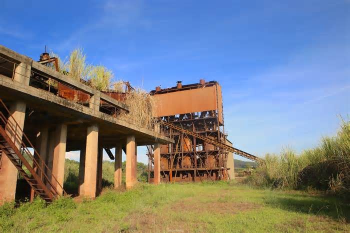 Hà Tĩnh đôn đốc xử lý nhà máy sắt hơn 150 tỷ đồng bị bỏ hoang