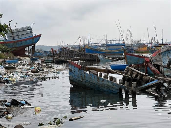Nhiều tàu gỗ tiền tỉ ở Quảng Ngãi nằm bờ gây ô nhiễm