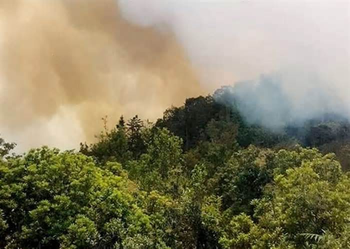 Thủ tướng yêu cầu tăng cường các biện pháp cấp bách phòng cháy, chữa cháy rừng