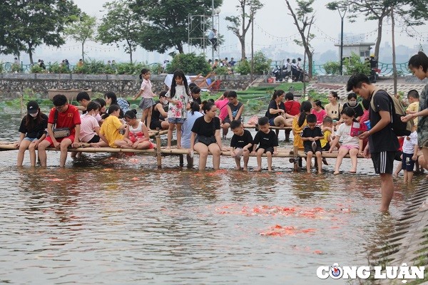 Giới trẻ Hà Nội thích thú với hàng nghìn chú cá Koi Hồ Tây