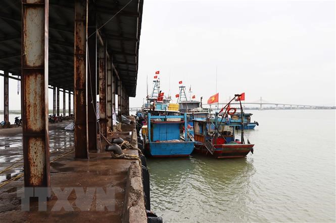 Hà Tĩnh: Kịp thời cứu sống 3 ngư dân bị chìm thuyền trên biển