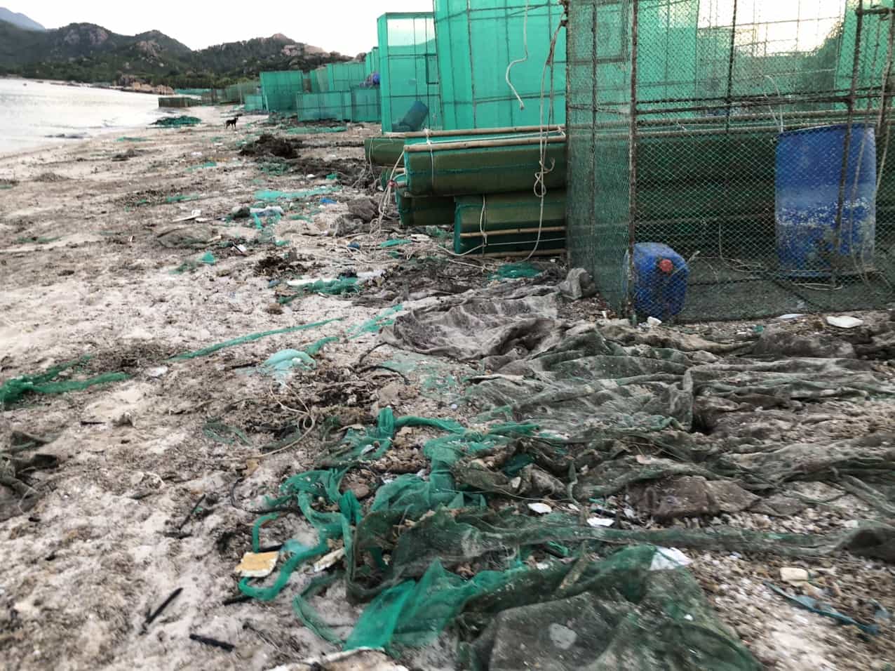 Rác thải từ lồng tôm hùm - ác mộng với môi trường biển Cam Ranh