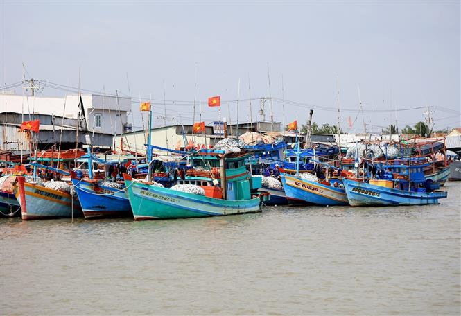 Quảng Trị kiến nghị gỡ vướng mắc đăng ký tàu cá, giám sát hành trình