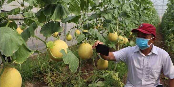 Đồng Nai đột phá trong đầu tư nông nghiệp công nghệ cao