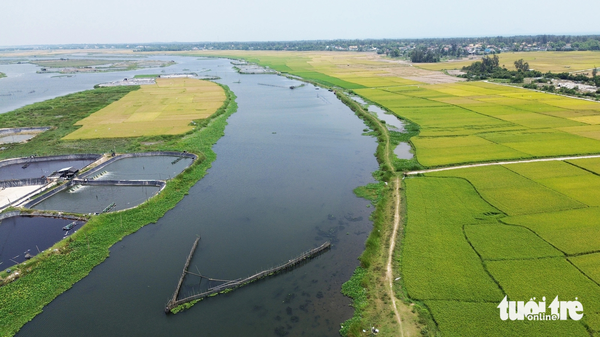 Quảng Nam rót 2.700 tỉ đồng hồi sinh con sông 'không thượng nguồn, chẳng hạ lưu'