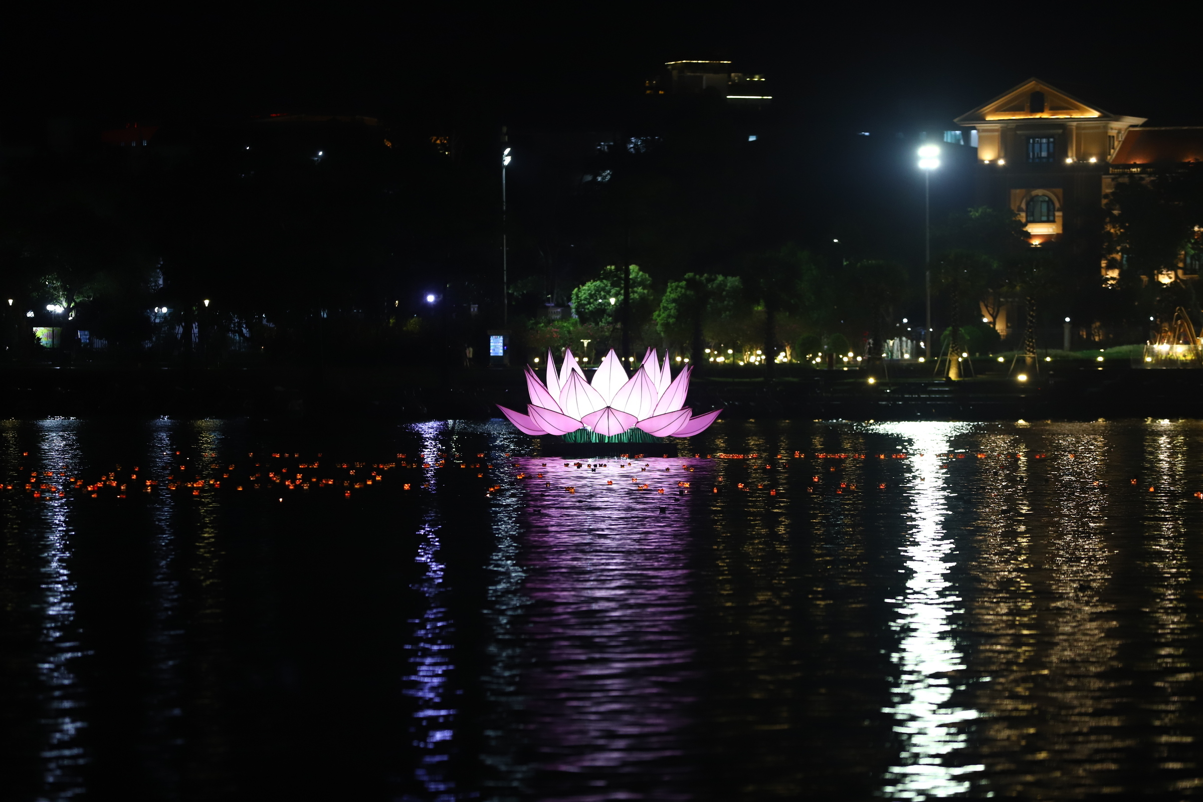 Thắp sáng 7 hoa sen khổng lồ trên sông Hương